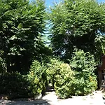 Gran La Mesnada Bed and breakfast 3*