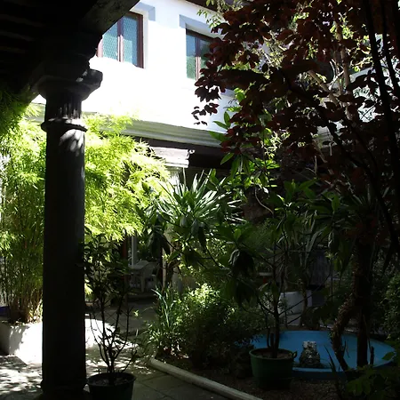 Gran La Mesnada Bed and breakfast Olmedo